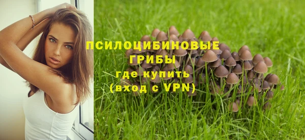 ГАЛЛЮЦИНОГЕННЫЕ ГРИБЫ Нея