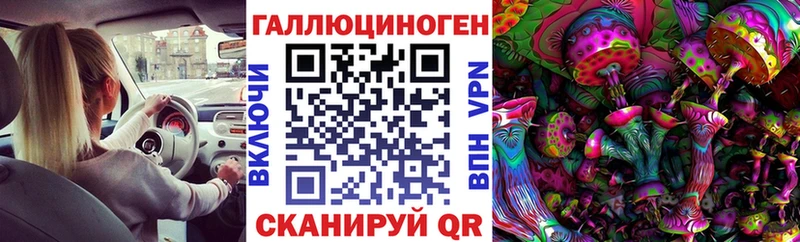 Галлюциногенные грибы Psilocybe  купить  цена  Нижнеудинск 