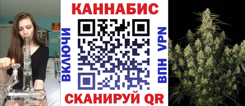 Бошки Шишки планчик  купить наркоту  Нижнеудинск 